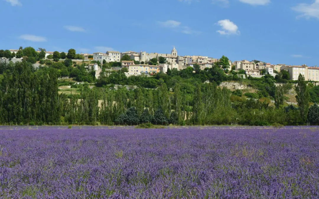 Dans le Vaucluse, le groupe CIMSA rejoint le réseau Vidi