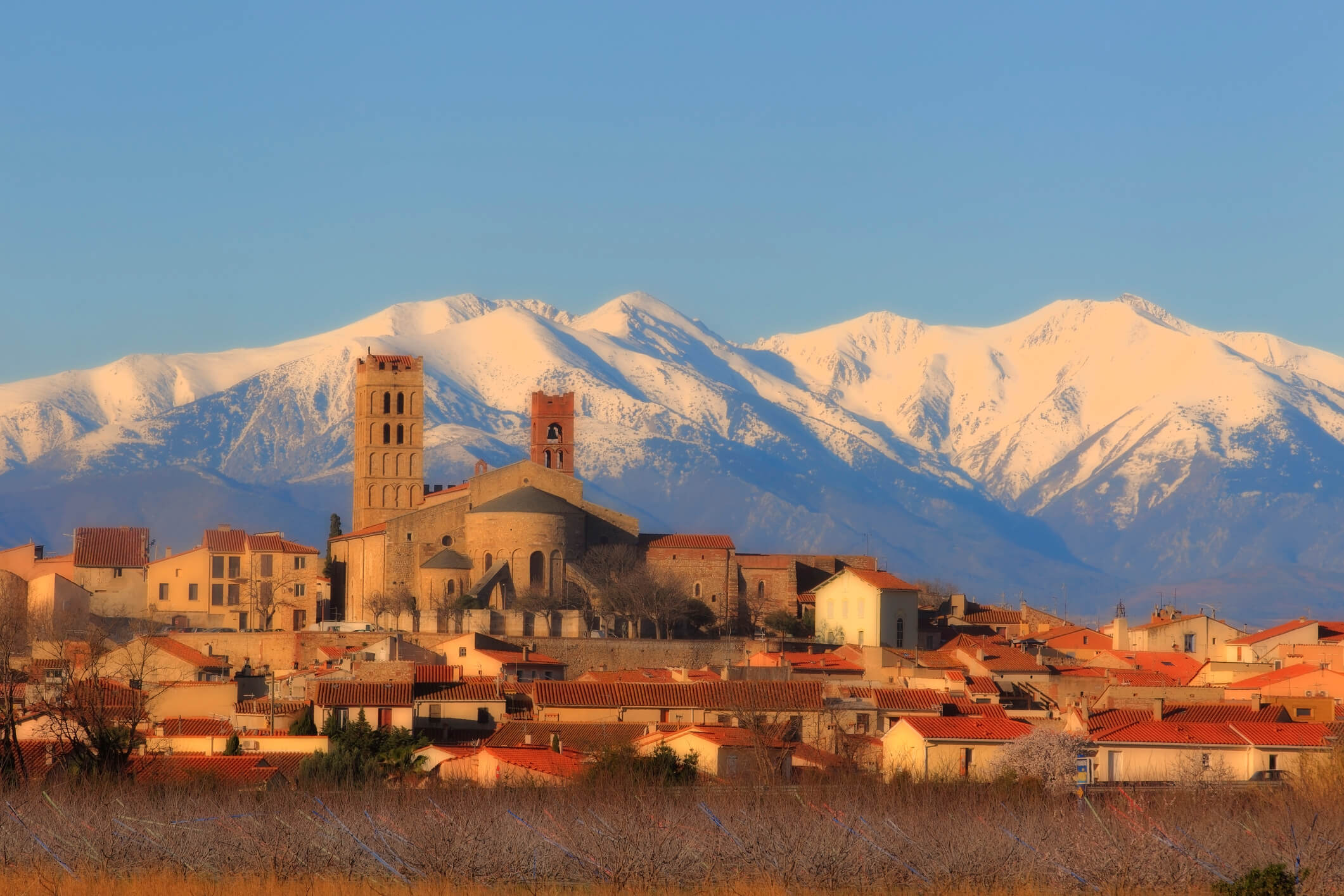 IMALLIANCE-Perpignan